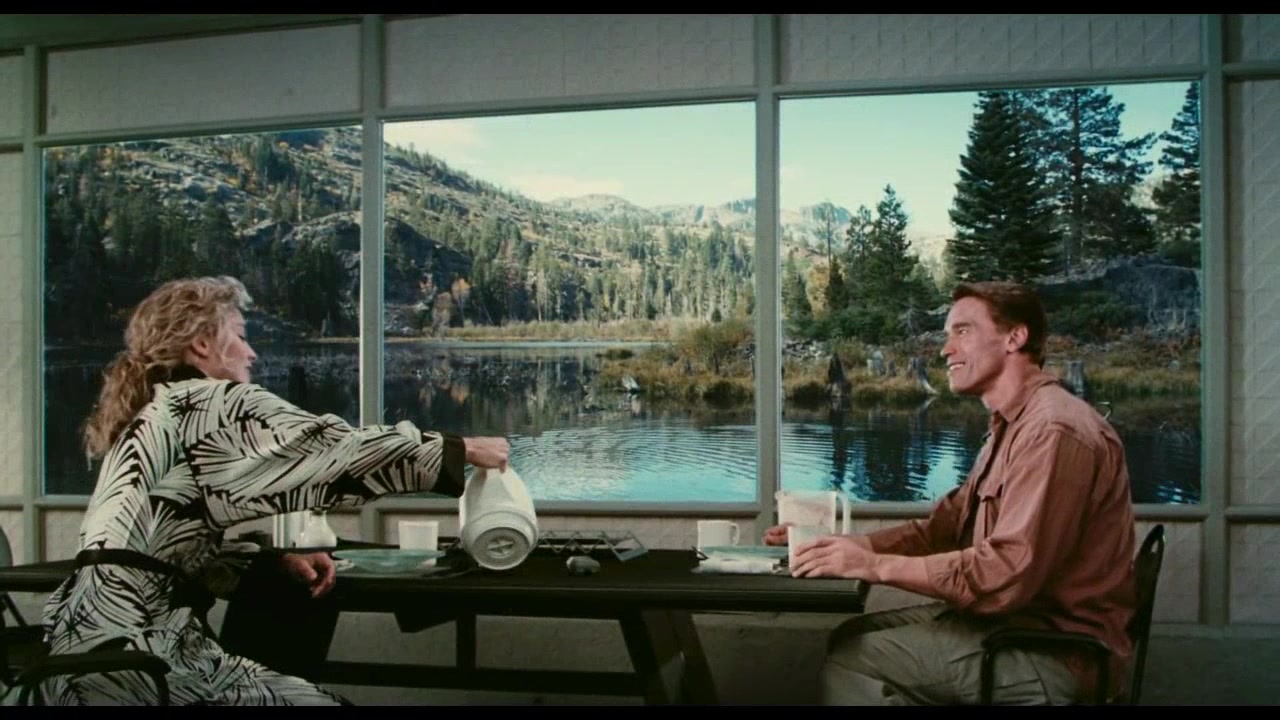 Die Totale Erinnerung